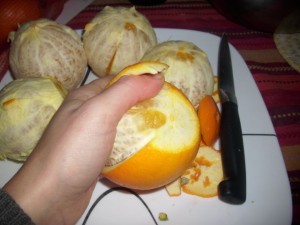 peeling oranges