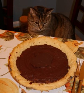 choc pumpkin pie