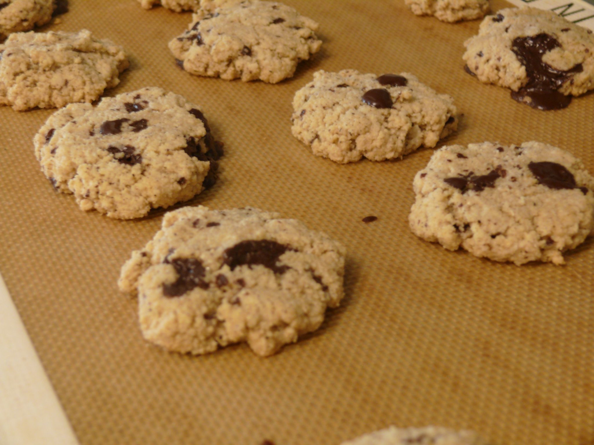 Divine Chocolate Chip Cookies (grain free, vegan) | Gluten Free Goodness